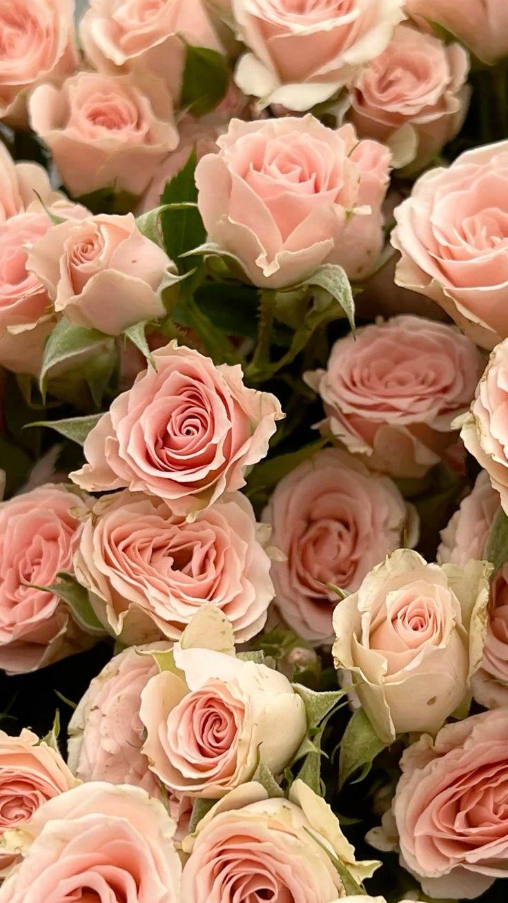 Corporate floral consultation example